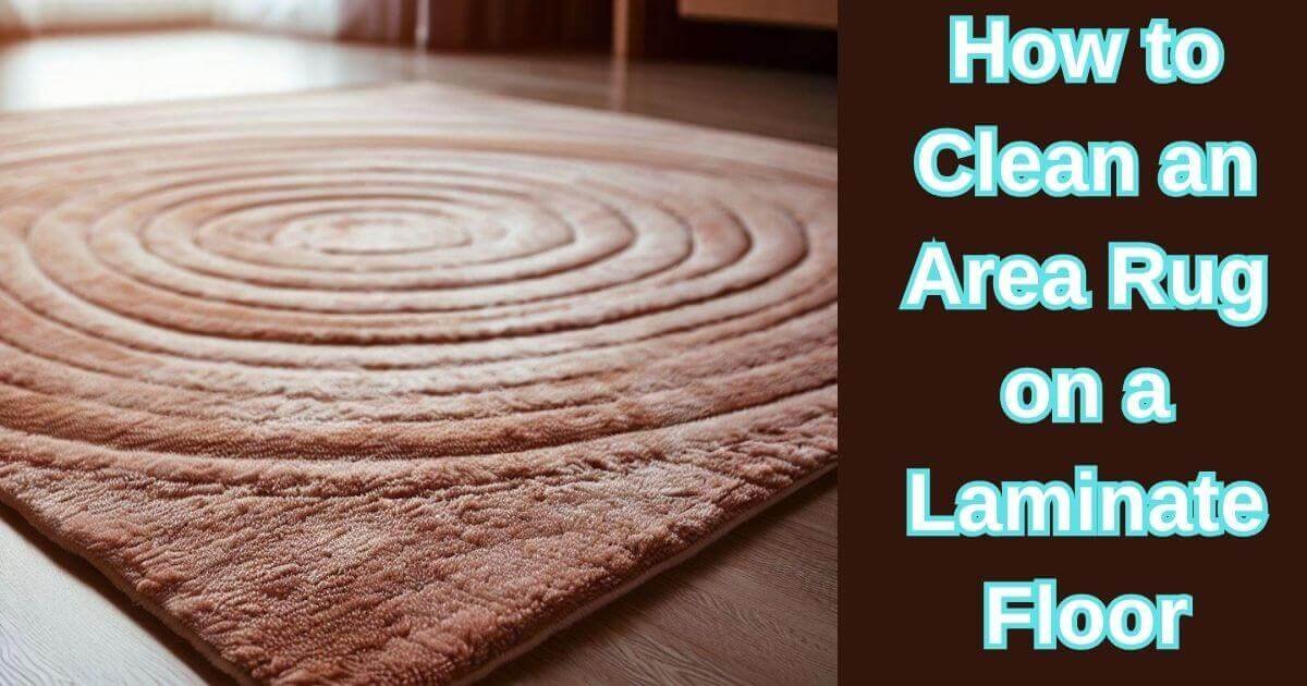 How to Clean an Area Rug on a Laminate Floor The Best Way