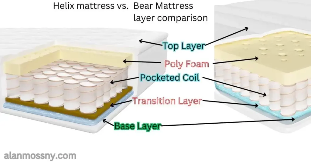 bear mattress vs helix mattress layers