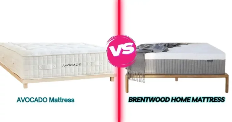 Brentwood Home vs Avocado Mattress Comparison