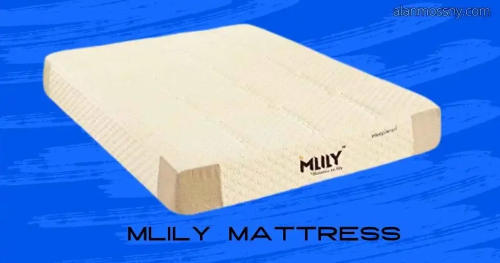 mlily mattress