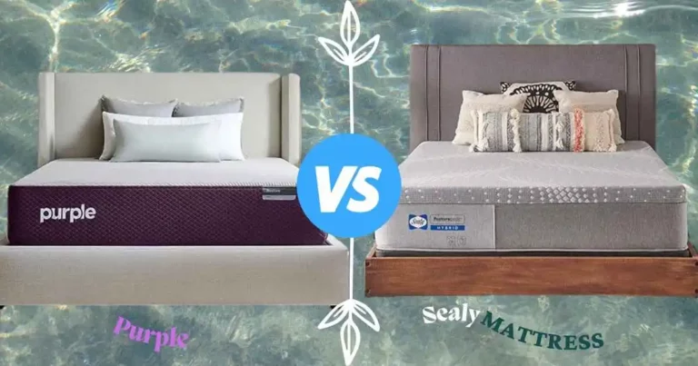 Purple Mattress Vs Sealy: Find Which One Is Best